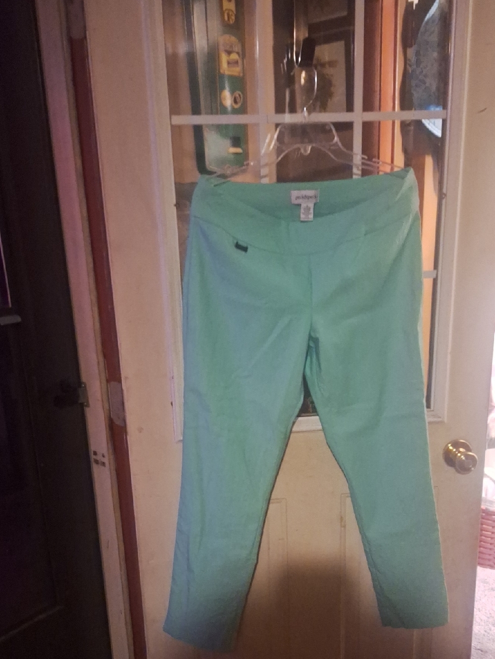 Peck & Peck Mint Green Ladies Pant Leggings With Tummy Control.